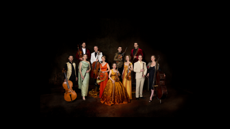 Australian Haydn Ensemble - Die Stille Nacht