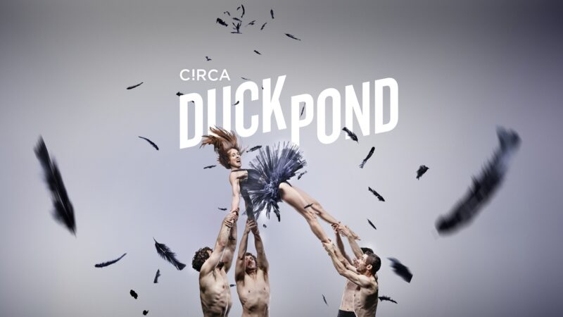 Duck Pond
