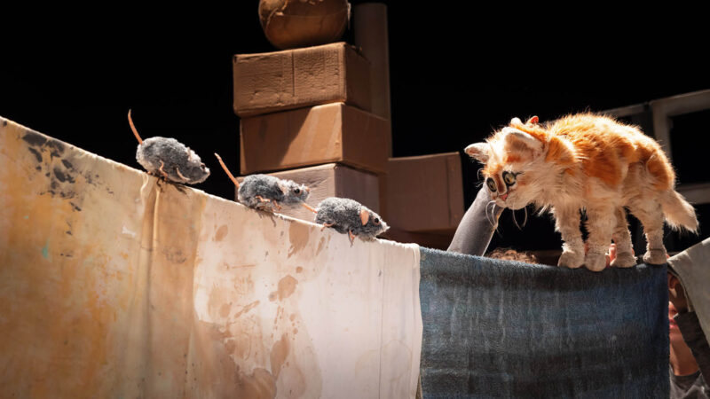 Scaredy Cat - Puppet Workshop