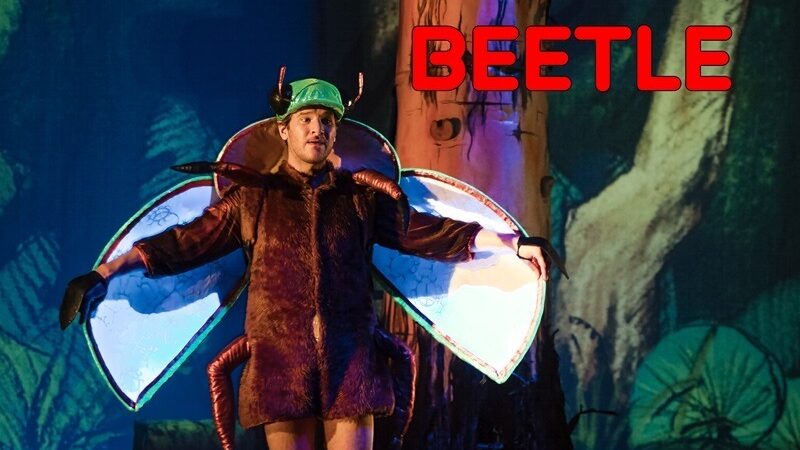 Beetle