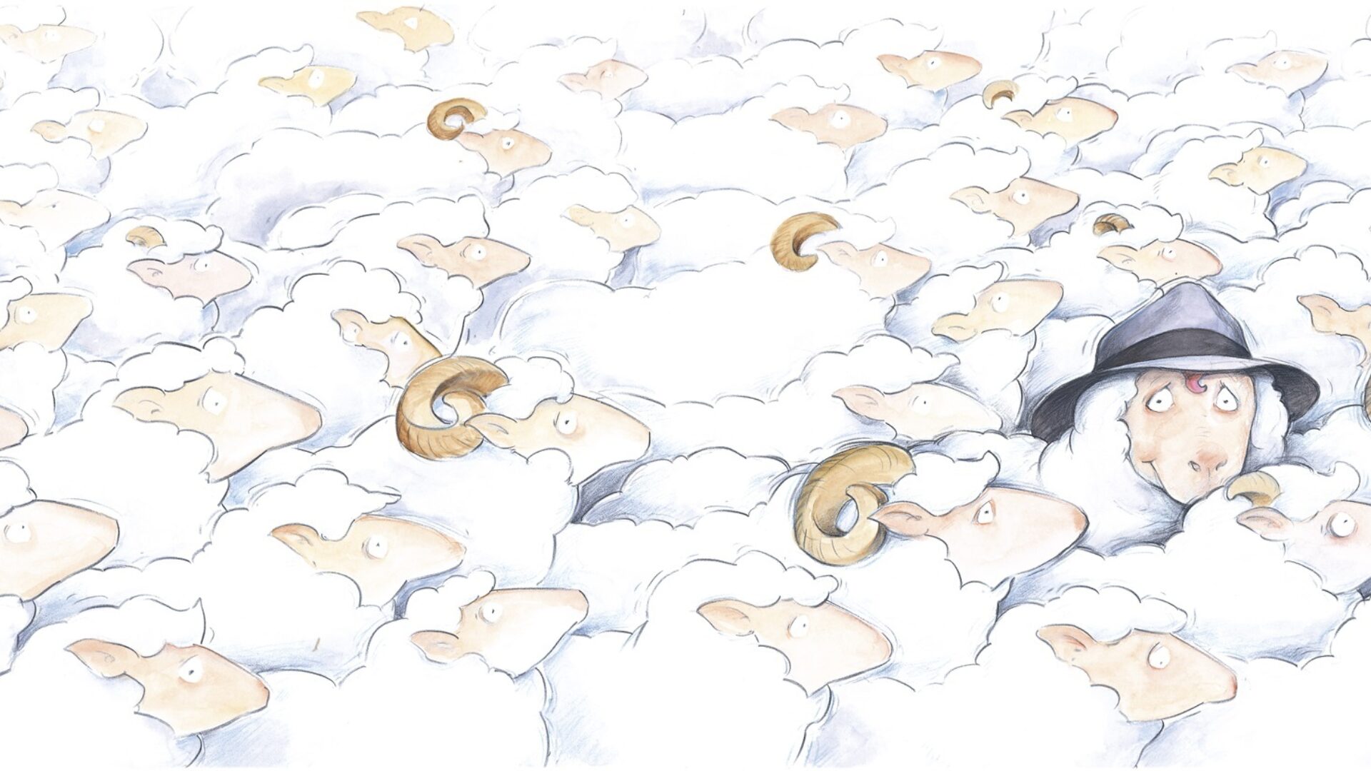 Pete the Sheep