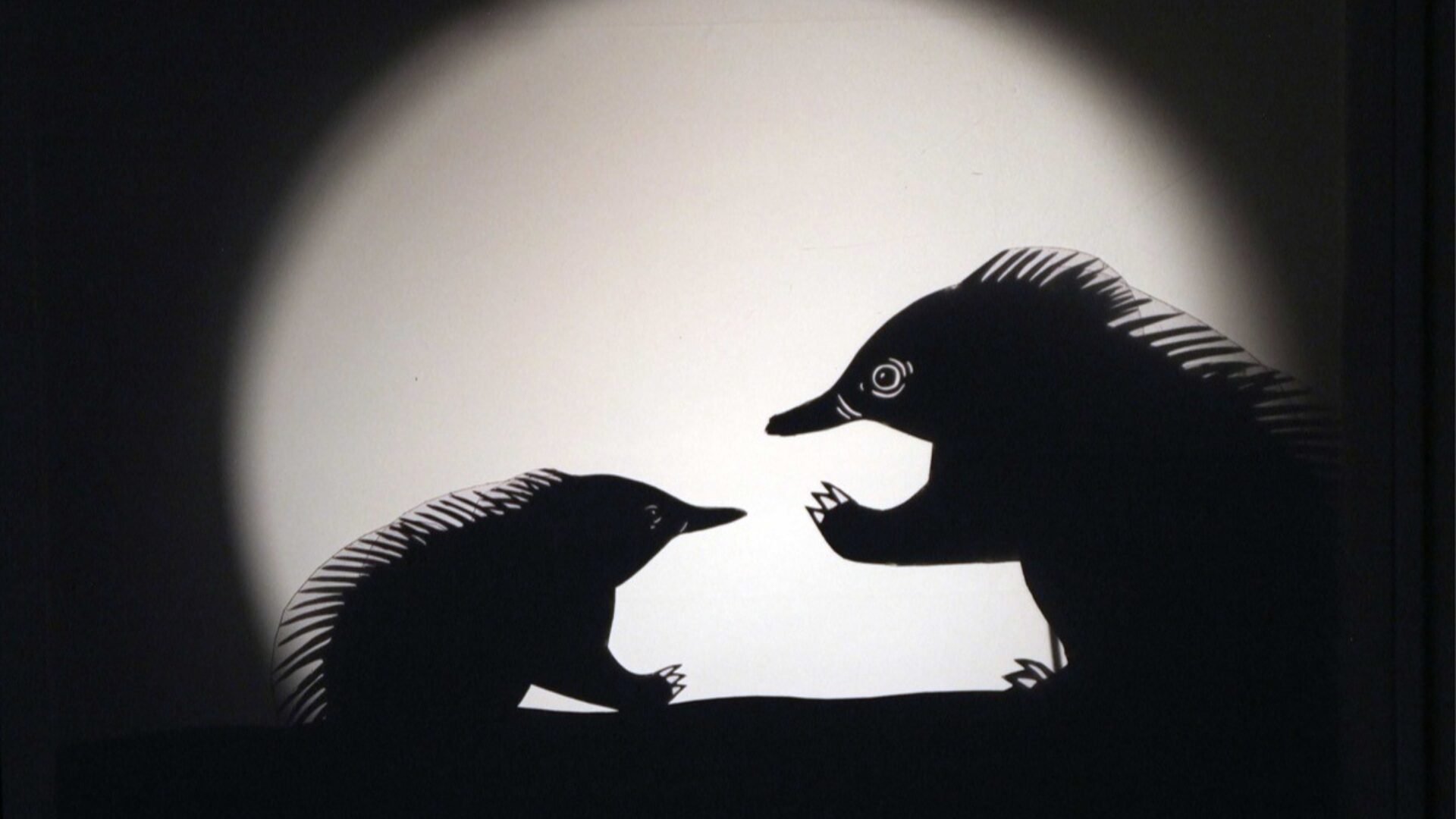 Shadow Puppetry Workshop: Playing with Light