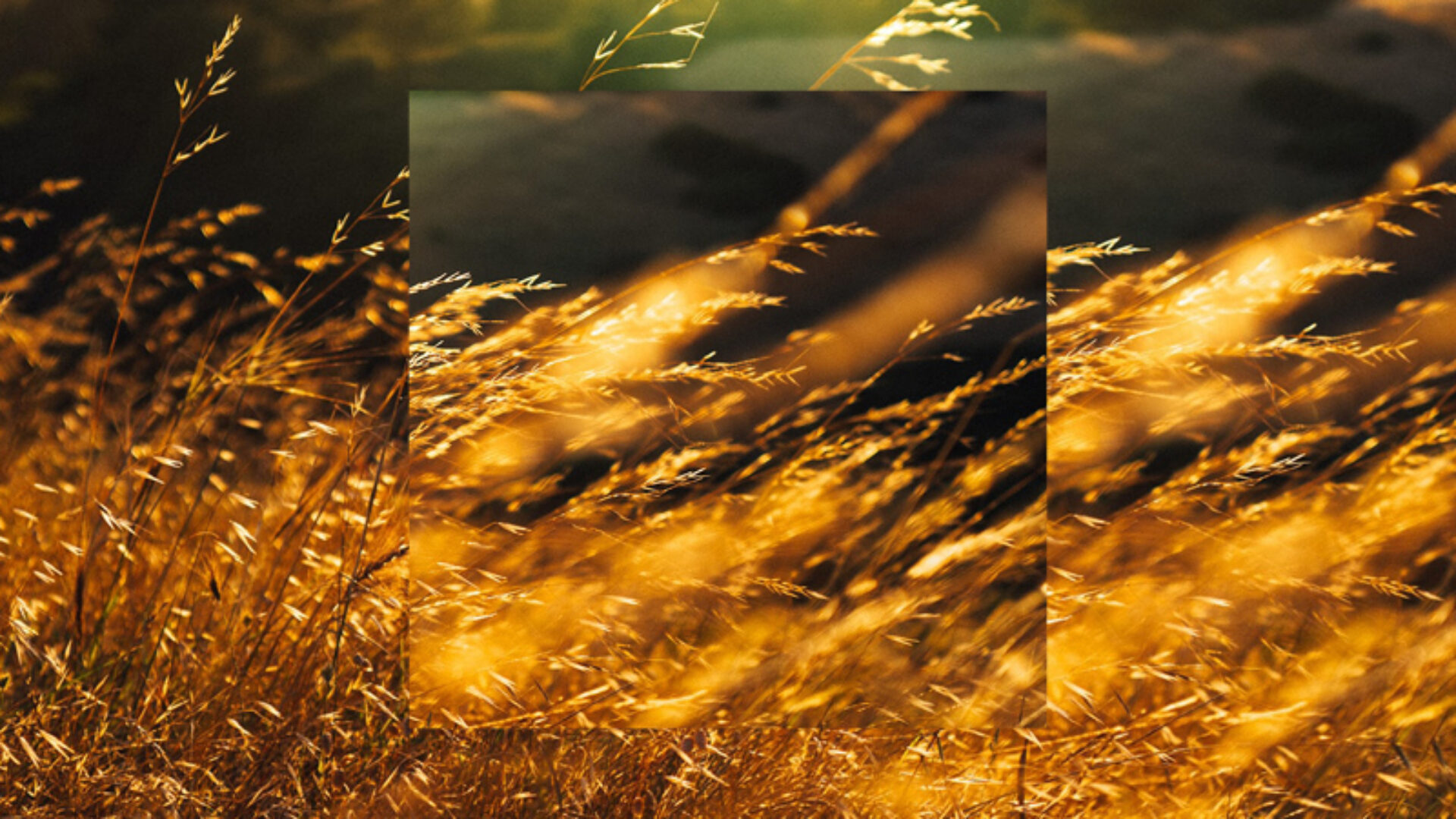 Sydney Symphony Orchestra – Bold & Brilliant: The Italian Baroque