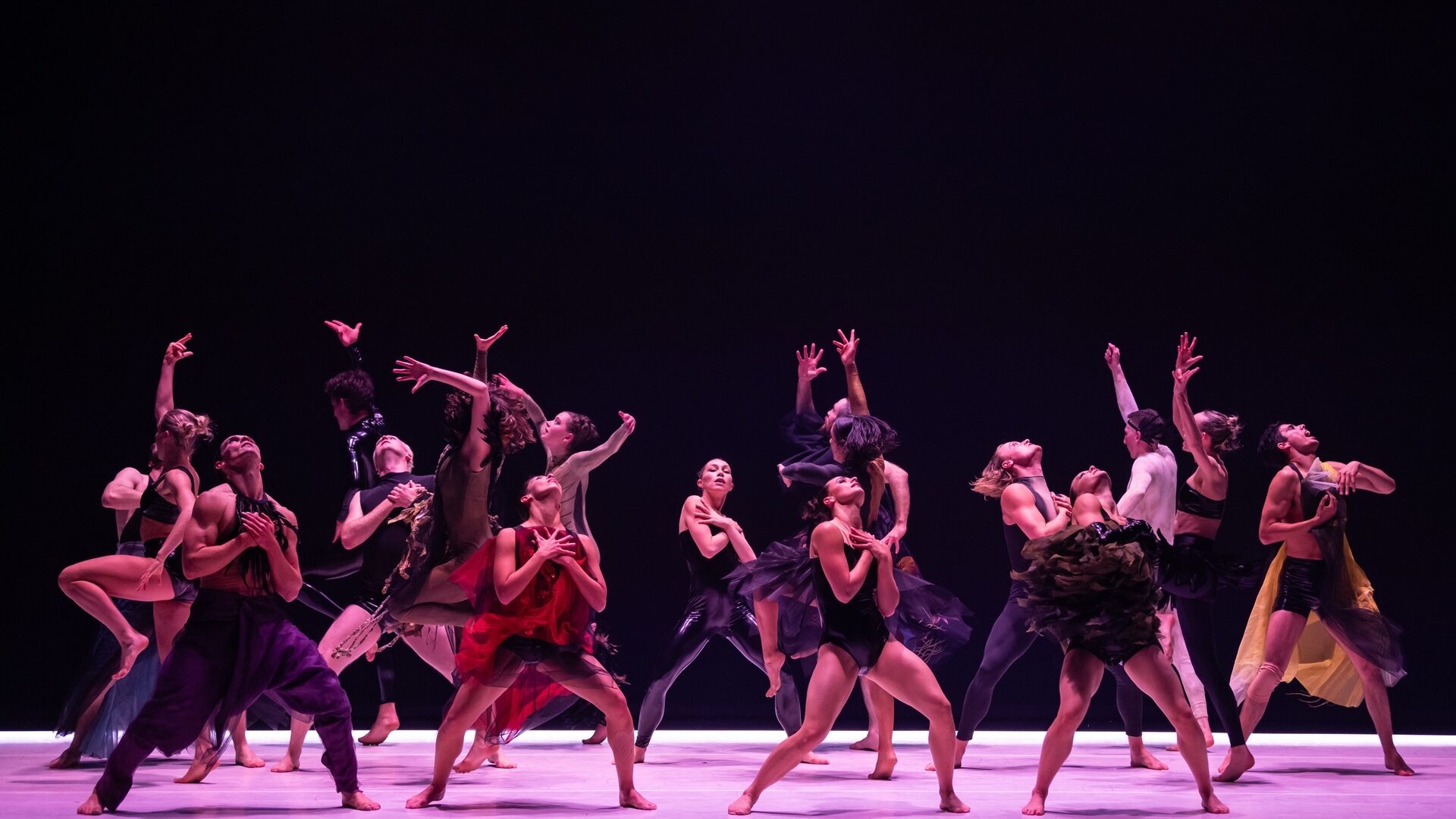 AHP2026 SDC Engine Gal1