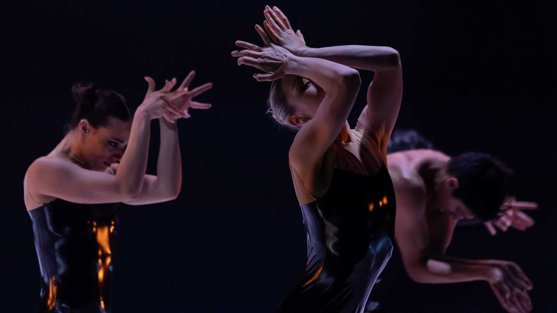 AHP2026 SDC Engine Gal4